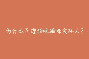 为什么不理猫咪猫咪会抓人?-动物百科
