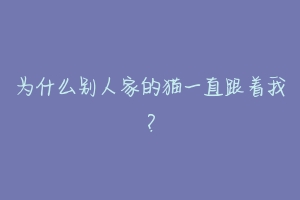 为什么别人家的猫一直跟着我?-动物百科