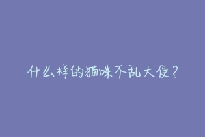 什么样的猫咪不乱大便?-动物百科