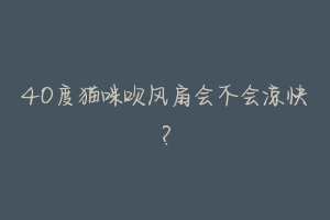 40度猫咪吹风扇会不会凉快?-动物百科