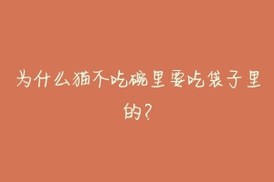 为什么猫不吃碗里要吃袋子里的？-动物百科
