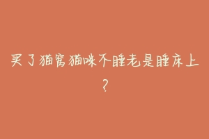 买了猫窝猫咪不睡老是睡床上?-动物百科