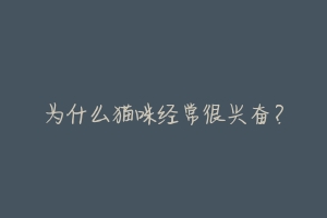 为什么猫咪经常很兴奋?-动物百科