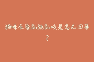 猫咪在家乱跳乱咬是怎么回事?-动物百科