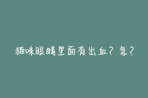 猫咪眼睛里面有出血?急?-动物百科