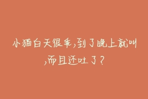 小猫白天很乖,到了晚上就叫,而且还吐了?-动物百科