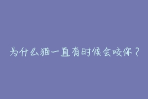 为什么猫一直有时候会咬你?-动物百科