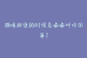猫咪排便的时候总喵喵叫咋回事?-动物百科