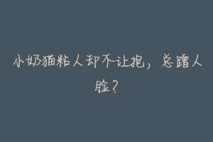 小奶猫粘人却不让抱,总蹭人脸?-动物百科