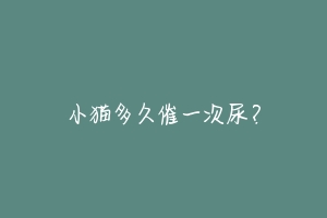 小猫多久催一次尿?-动物百科