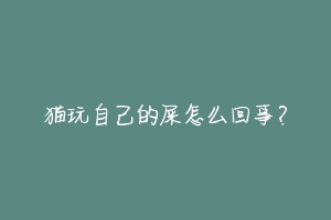 猫玩自己的屎怎么回事?-动物百科