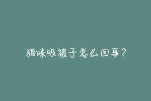 猫咪吸被子怎么回事?-动物百科