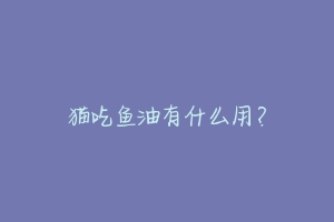 猫吃鱼油有什么用?-动物百科