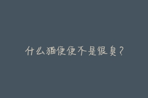 什么猫便便不是很臭?-动物百科