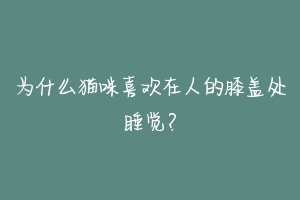 为什么猫咪喜欢在人的膝盖处睡觉？-动物百科