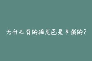 为什么有的猫尾巴是半截的？-动物百科