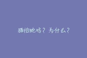 猫怕蛇吗？为什么？-动物百科