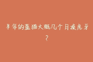 半年的蓝猫大概几个月换虎牙？-动物百科