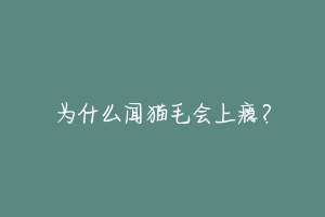 为什么闻猫毛会上瘾？-动物百科