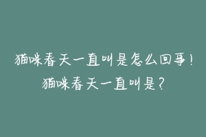 猫咪春天一直叫是怎么回事！猫咪春天一直叫是？-动物百科