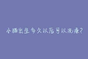 小猫出生多久以后可以洗澡？-动物百科