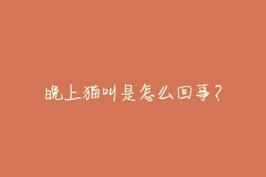 晚上猫叫是怎么回事？-动物百科