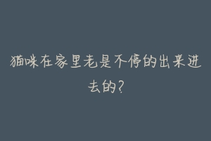 猫咪在家里老是不停的出来进去的？-动物百科
