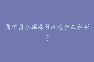 两个月小猫咪可以吃什么水果?-动物百科