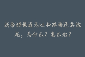 我家猫最近老吐和拉稀还总放屁,为什么?怎么治?-动物百科