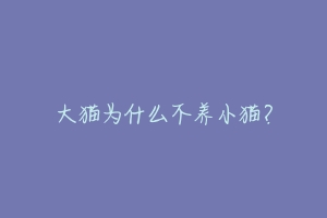 大猫为什么不养小猫?-动物百科
