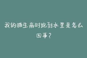 我的猫生病时跑到水里是怎么回事?-动物百科