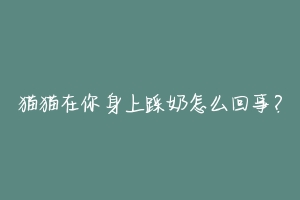 猫猫在你身上踩奶怎么回事?-动物百科