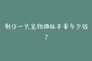 制作一只宠物猫标本要多少钱?-动物百科