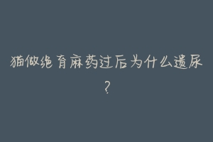 猫做绝育麻药过后为什么遗尿?-动物百科