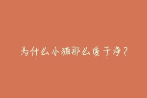 为什么小猫那么爱干净?-动物百科