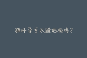 猫怀孕可以睡地板吗?-动物百科