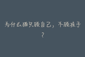 为什么猫只顾自己，不顾孩子？-动物百科
