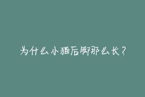 为什么小猫后脚那么长？-动物百科
