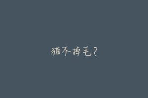 猫不掉毛？-动物百科