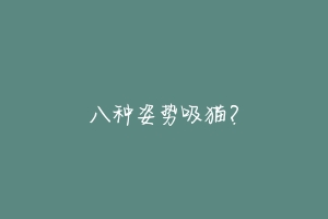 八种姿势吸猫？-动物百科