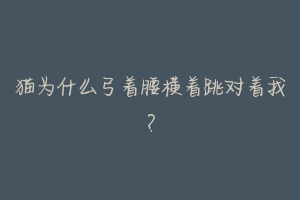 猫为什么弓着腰横着跳对着我?-动物百科