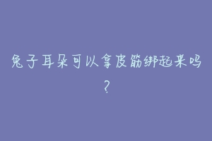 兔子耳朵可以拿皮筋绑起来吗?-动物百科
