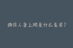 猫往人身上爬是什么意思?-动物百科