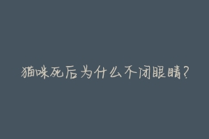 猫咪死后为什么不闭眼睛?-动物百科
