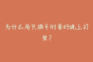 为什么两只猫平时要好晚上打架?-动物百科