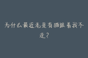 为什么最近老是有猫跟着我不走?-动物百科
