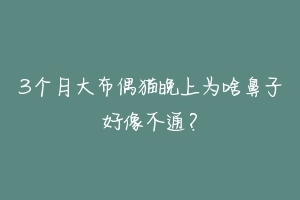 3个月大布偶猫晚上为啥鼻子好像不通?-动物百科