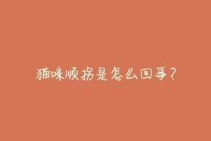 猫咪顺拐是怎么回事?-动物百科