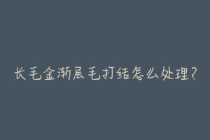 长毛金渐层毛打结怎么处理?-动物百科
