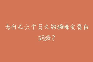 为什么六个月大的猫咪会有白胡须?-动物百科